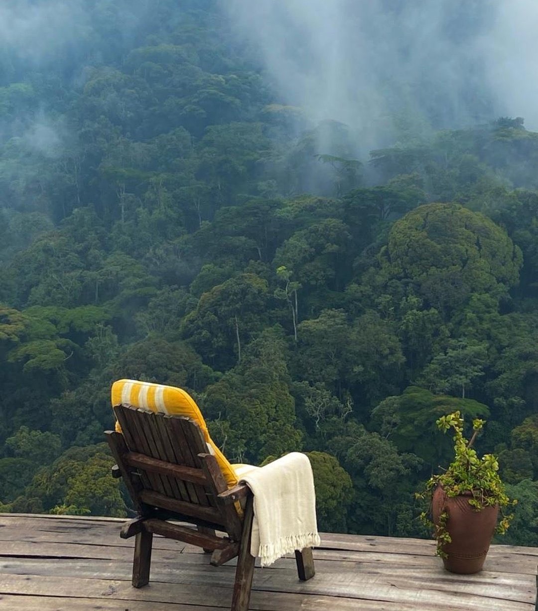 Bwindi Impenetrable National Park