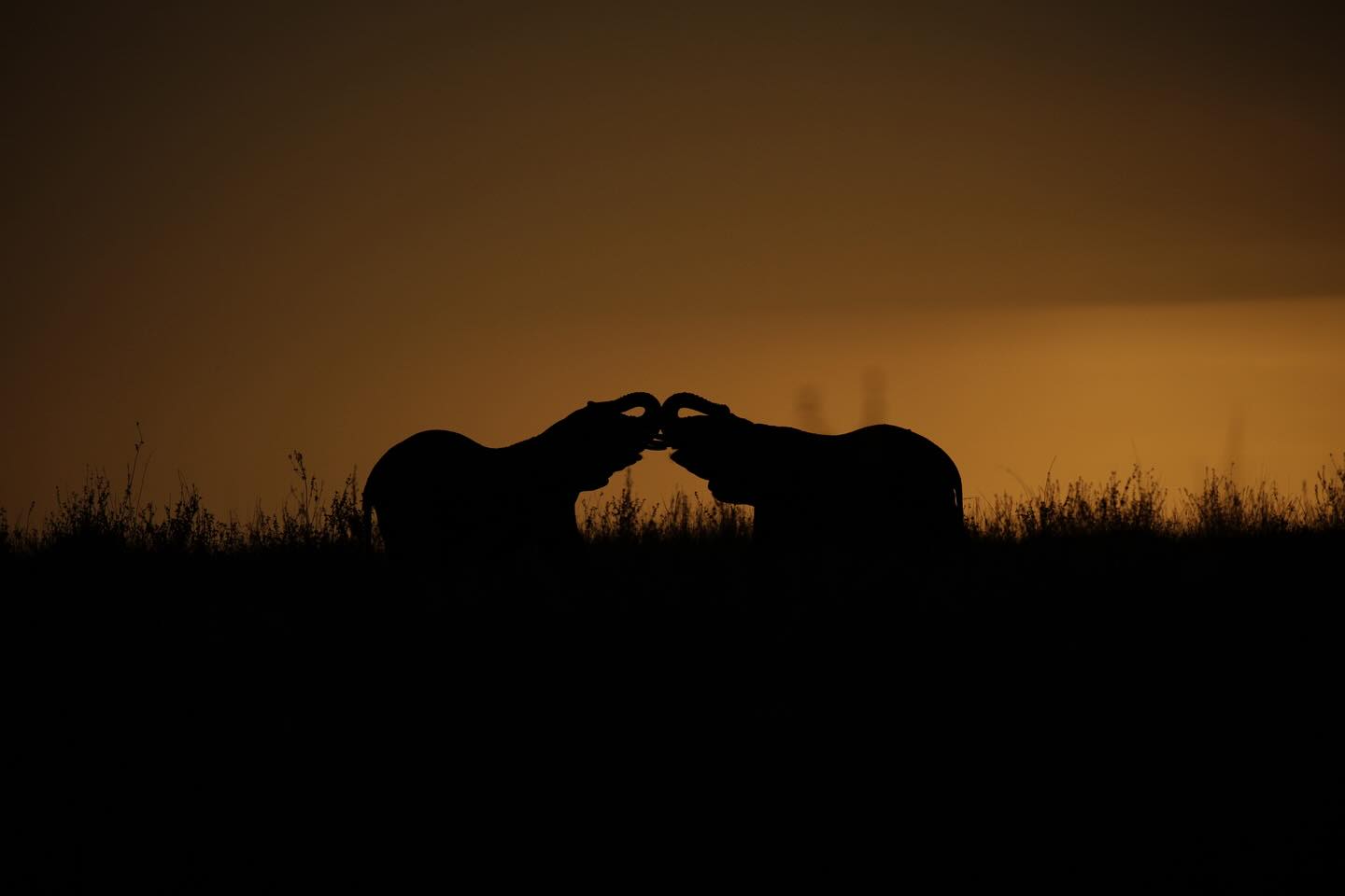 Tarangire National Park - Planning