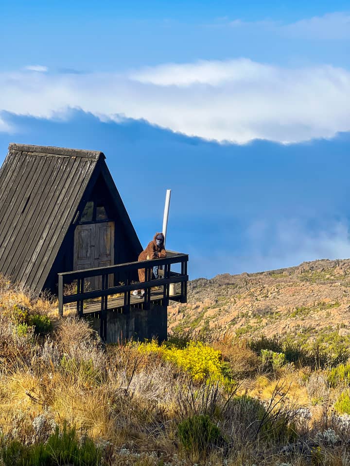Mount Kilimanjaro - Activity