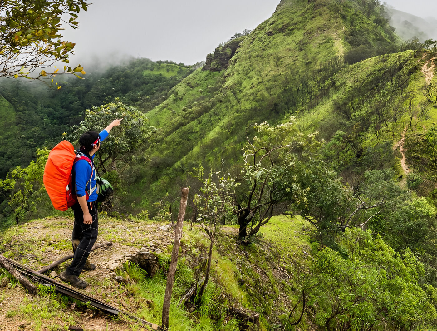 Mgahinga Gorilla National Park - Activity